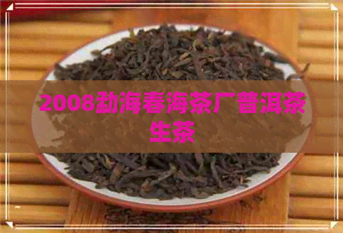 2008勐海春海茶厂普洱茶生茶