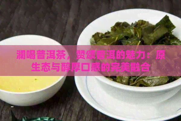 澜喝普洱茶，赞颂普洱的魅力：原生态与醇厚口感的完美融合