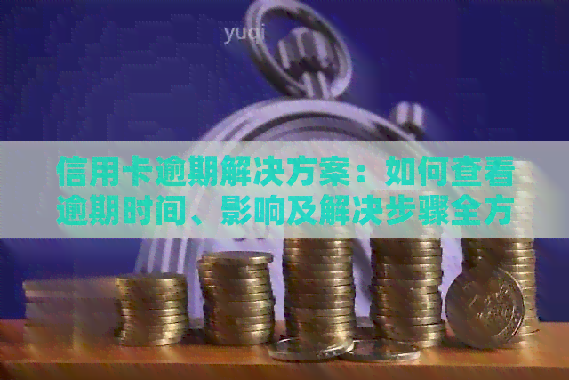 信用卡逾期解决方案：如何查看逾期时间、影响及解决步骤全方位解析