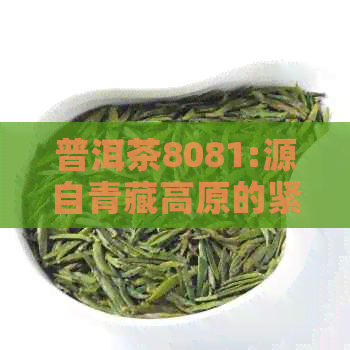 普洱茶8081:源自青藏高原的紧茶之味