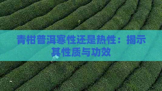 青柑普洱寒性还是热性：揭示其性质与功效