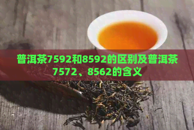 普洱茶7592和8592的区别及普洱茶7572、8562的含义