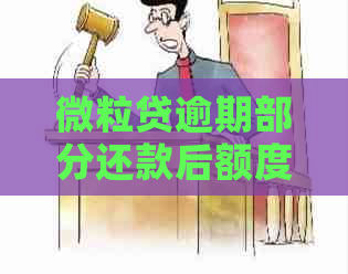 微粒贷逾期部分还款后额度不变怎么办？