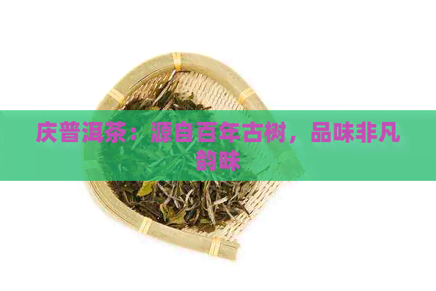 庆普洱茶：源自百年古树，品味非凡韵味