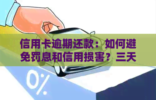 信用卡逾期还款：如何避免罚息和信用损害？三天后还款的完整解决方案