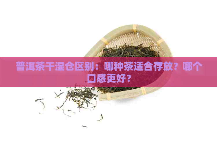 普洱茶干湿仓区别：哪种茶适合存放？哪个口感更好？