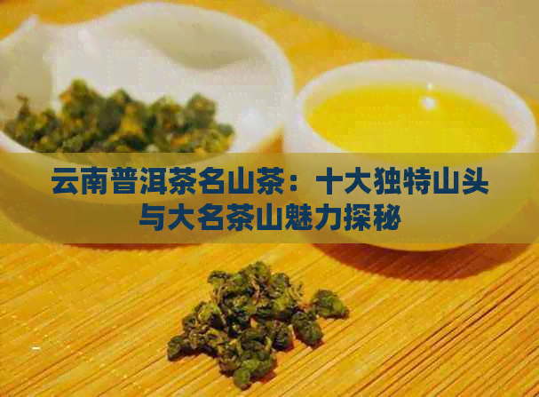 云南普洱茶名山茶：十大独特山头与大名茶山魅力探秘