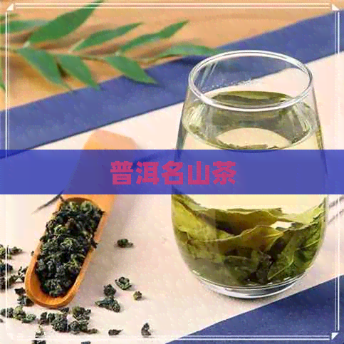 普洱名山茶