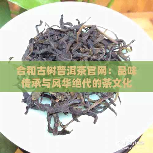 合和古树普洱茶官网：品味传承与风华绝代的茶文化