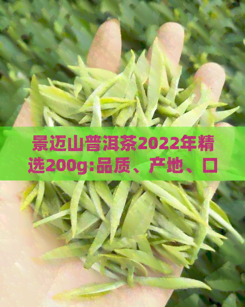 景迈山普洱茶2022年精选200g:品质、产地、口感等全方位解析与品鉴指南