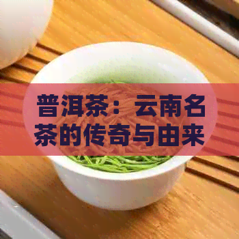 普洱茶：云南名茶的传奇与由来