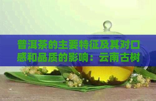 普洱茶的主要特征及其对口感和品质的影响：云南古树茶的特点与优势