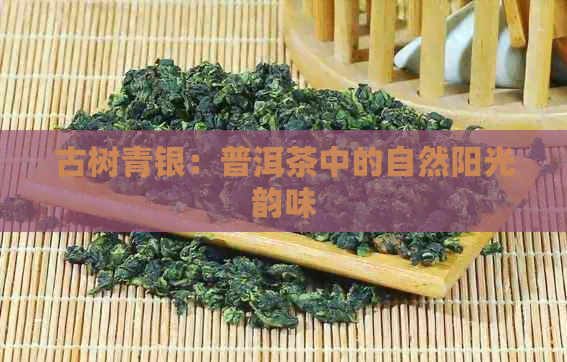 古树青银：普洱茶中的自然阳光韵味