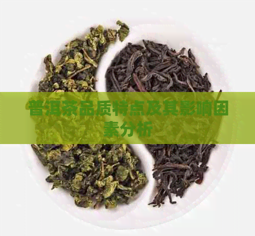 普洱茶品质特点及其影响因素分析