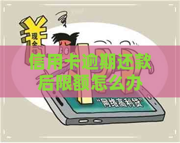 信用卡逾期还款后限额怎么办