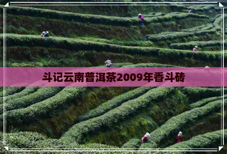 斗记云南普洱茶2009年香斗砖