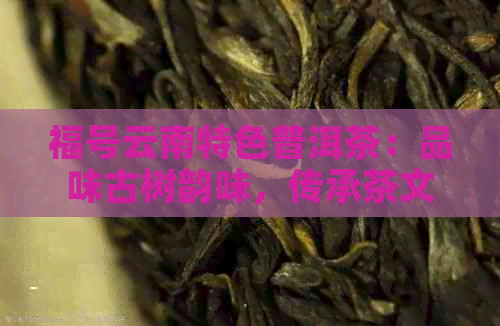 福号云南特色普洱茶：品味古树韵味，传承茶文化精髓