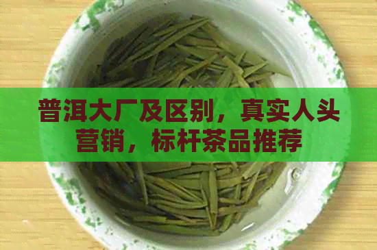 普洱大厂及区别，真实人头营销，标杆茶品推荐