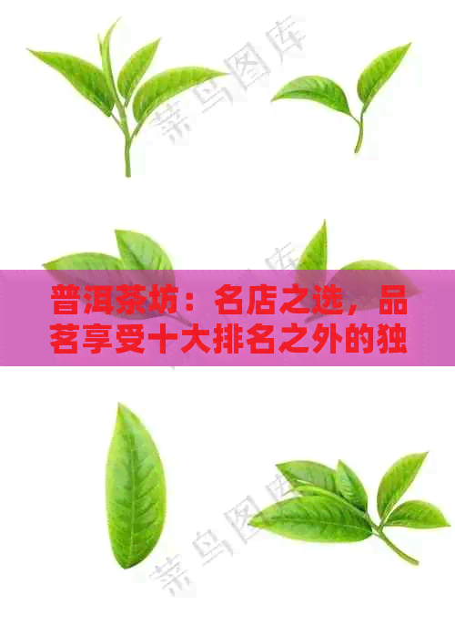 普洱茶坊：名店之选，品茗享受十大排名之外的独特风味