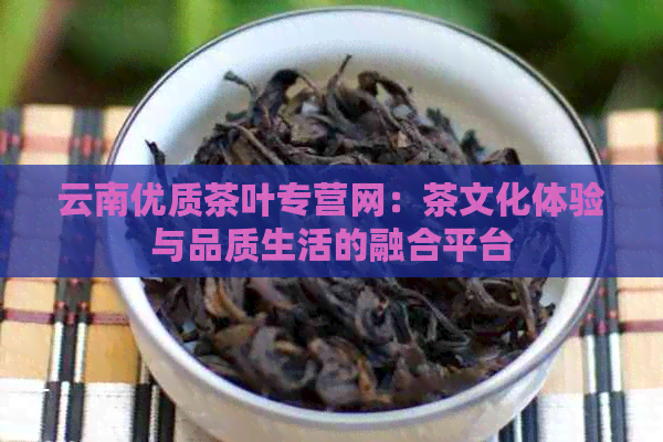 云南优质茶叶专营网：茶文化体验与品质生活的融合平台