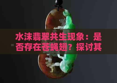 水沫翡翠共生现象：是否存在苍蝇翅？探讨其成因与影响