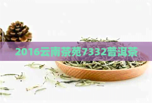 2016云南茶苑7332普洱茶