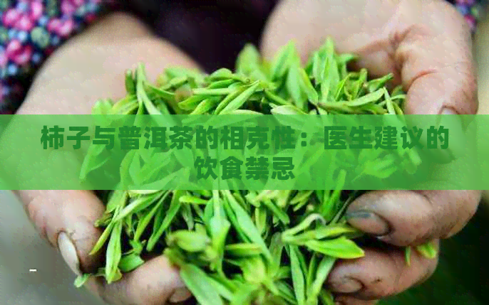 柿子与普洱茶的相克性：医生建议的饮食禁忌