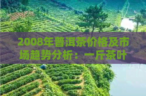 2008年普洱茶价格及市场趋势分析：一斤茶叶的价格是多少？