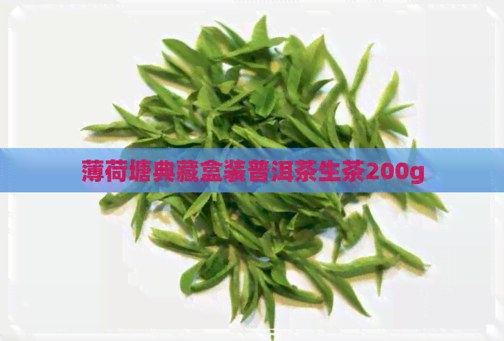 薄荷塘典藏盒装普洱茶生茶200g