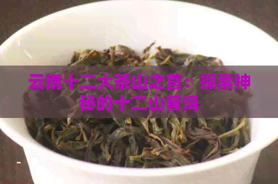 云南十二大茶山之首：探索神秘的十二山普洱