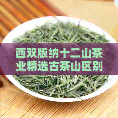 西双版纳十二山茶业精选古茶山区别、田块与私房菜，尽显原生态之美