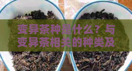 变异茶种是什么？与变异茶相关的种类及对人体的潜在影响。