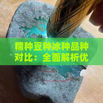 糯种豆种冰种品种对比：全面解析优缺点，助您选择最适合的种子