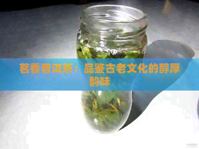 茗香普洱茶：品鉴古老文化的醇厚韵味