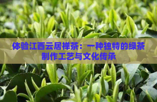 体验江西云居禅茶：一种独特的绿茶制作工艺与文化传承