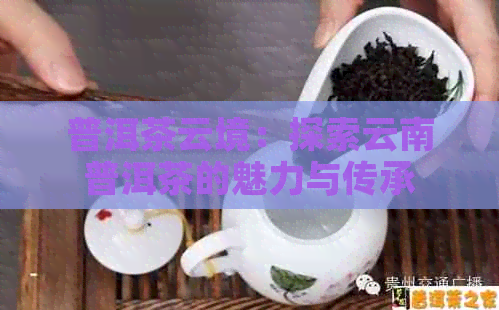 普洱茶云境：探索云南普洱茶的魅力与传承