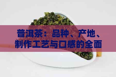 普洱茶：品种、产地、制作工艺与口感的全面解析与品鉴指南