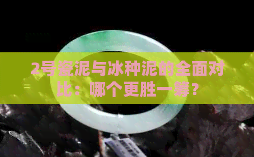 2号瓷泥与冰种泥的全面对比：哪个更胜一筹？