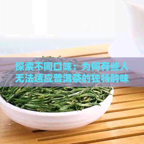 探索不同口味：为何有些人无法适应普洱茶的独特韵味？