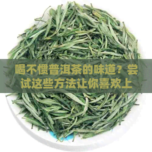 喝不惯普洱茶的味道？尝试这些方法让你喜欢上普洱！