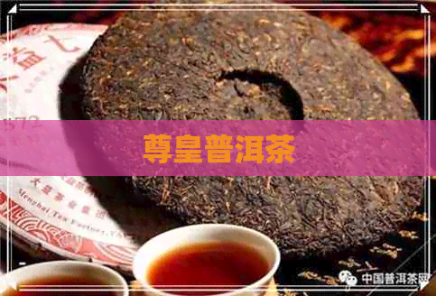 尊皇普洱茶