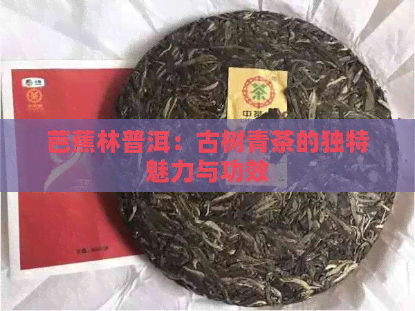 芭蕉林普洱：古树青茶的独特魅力与功效