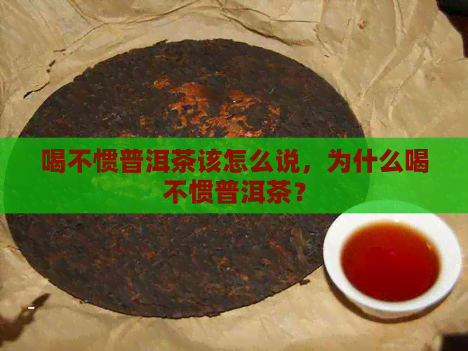 喝不惯普洱茶该怎么说，为什么喝不惯普洱茶？