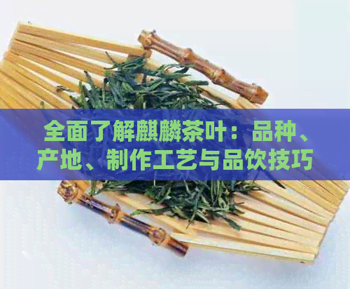 全面了解麒麟茶叶：品种、产地、制作工艺与品饮技巧，解答用户所有疑问