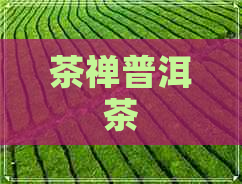 茶禅普洱茶