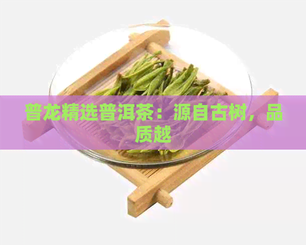 普龙精选普洱茶：源自古树，品质越