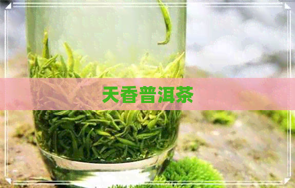 天香普洱茶