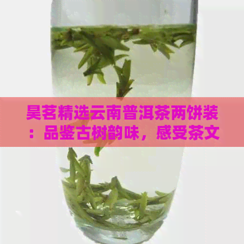 昊茗精选云南普洱茶两饼装：品鉴古树韵味，感受茶文化魅力