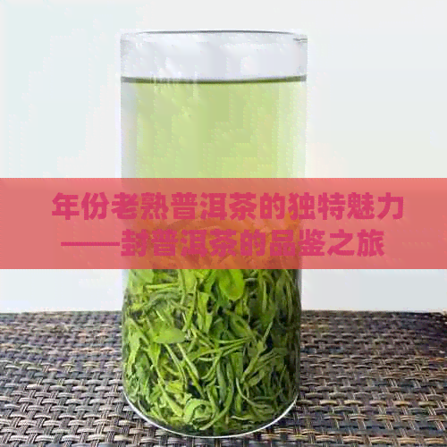  年份老熟普洱茶的独特魅力——封普洱茶的品鉴之旅