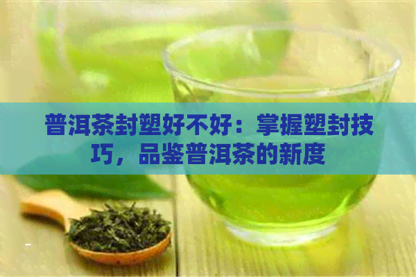 普洱茶封塑好不好：掌握塑封技巧，品鉴普洱茶的新度